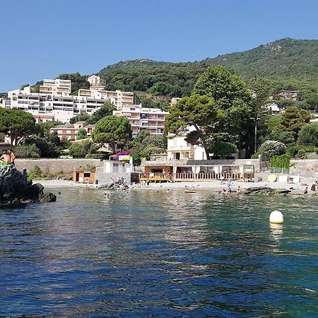 Charmant Studio Climatise Avec Parking, Au Coeur De Pietranera, Plage A 500M, Bastia A 2Km Ville-di-Pietrabugno Extérieur photo